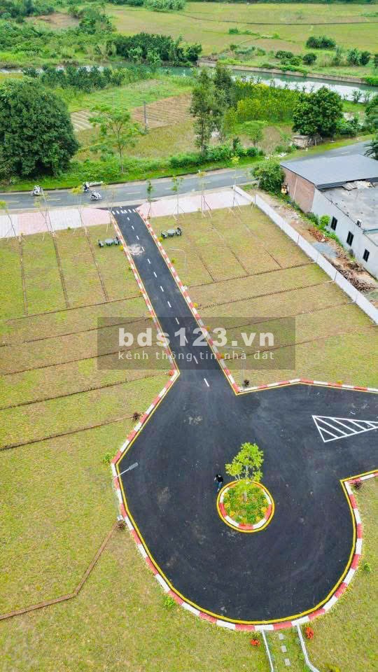 Đầu tư thông minh - Sinh lời ngay Kim Bôi