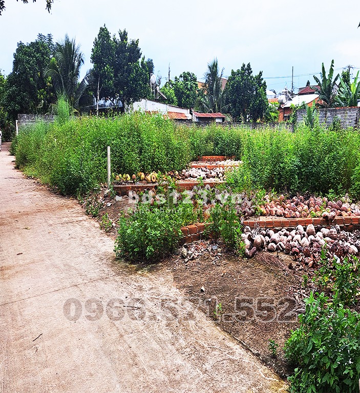 Bán đất thổ cư sau chợ Bầu Cối, P Bảo Vinh. Đồng Nai. Giá…