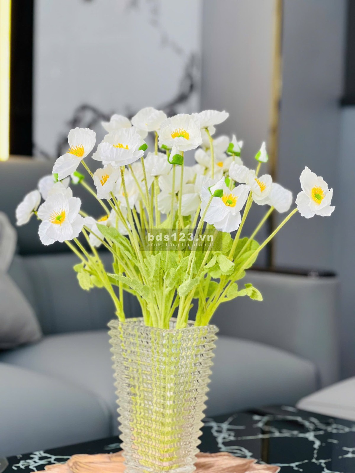 Nhà mới 100% gốc 2 mặt tiền đường Trần Vính Kiết KINH…