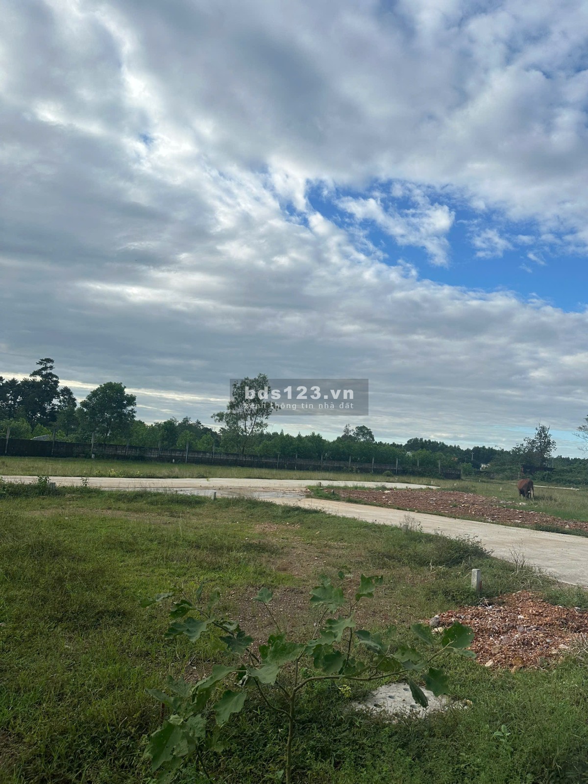  CƠ HỘI SỞ HỮU ĐẤT DẠ LÊ – GIÁ TỐT, PHÁP LÝ RÕ RÀNG,…