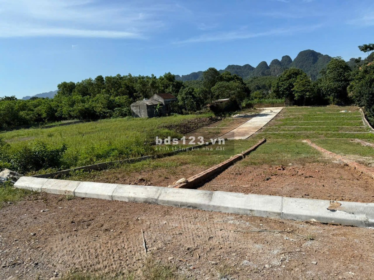  DUY NHẤT 1 LÔ CUỐI – GIÁ CHỈ 490 TRIỆU!