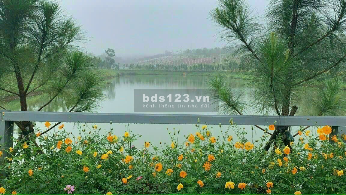 Cần Bán Lô Đất 650 Triệu Cạnh Resort Tâm Châu (Bảo Lộc)