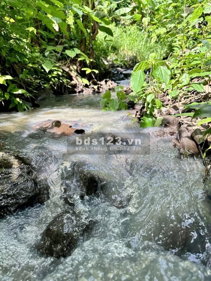 ChatGPT đã nói:Đất Rộng 4500m² Tại Định Quán – Giá Chỉ…