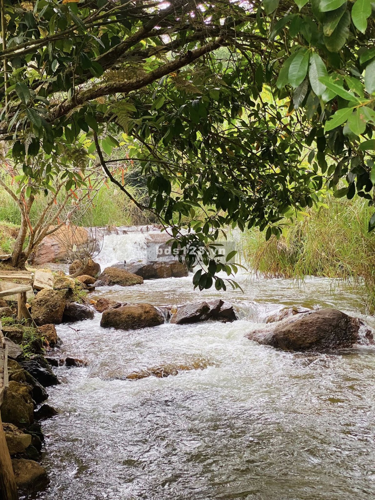 ChatGPT đã nói:Đất Rộng 4500m² Tại Định Quán – Giá Chỉ…