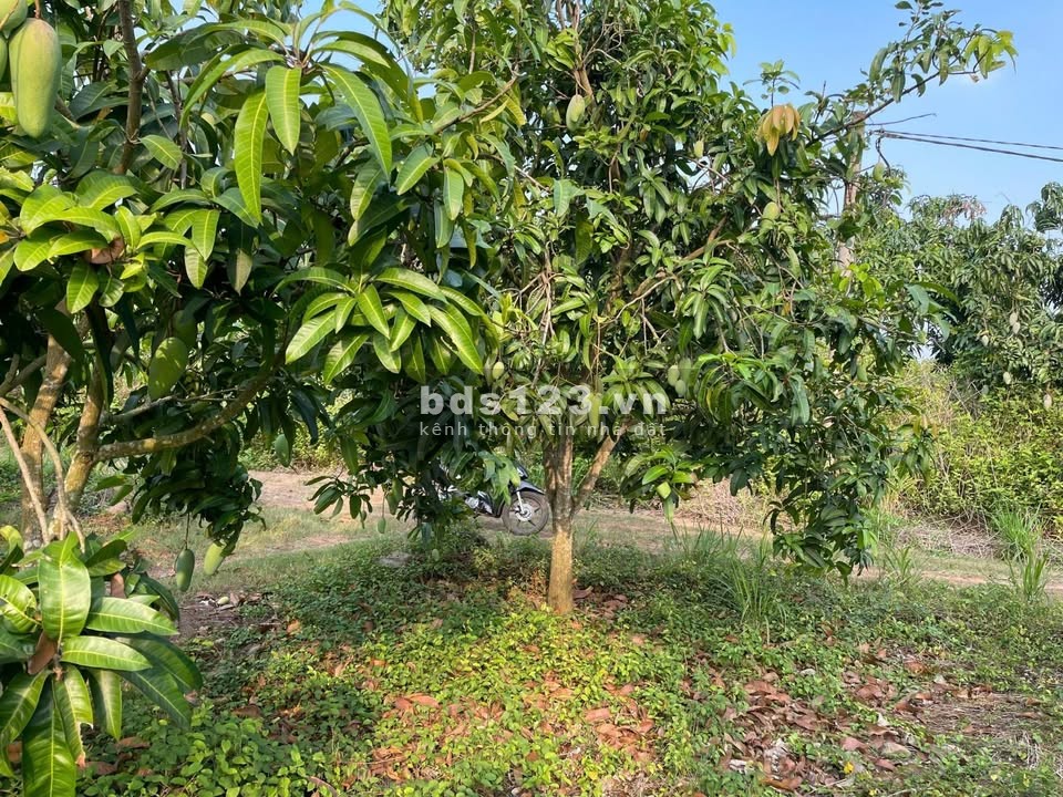  THỬA ĐẤT VỊ TRÍ ĐẸP – 104,6M², GIÁ CHỈ 490 TRIỆU –…