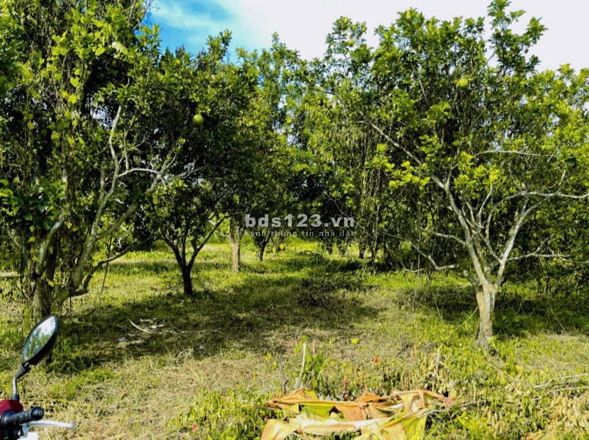  THỬA ĐẤT VỊ TRÍ ĐẸP – 104,6M², GIÁ CHỈ 490 TRIỆU –…