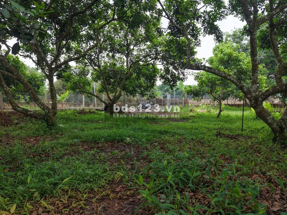  THỬA ĐẤT VỊ TRÍ ĐẸP – 104,6M², GIÁ CHỈ 490 TRIỆU –…