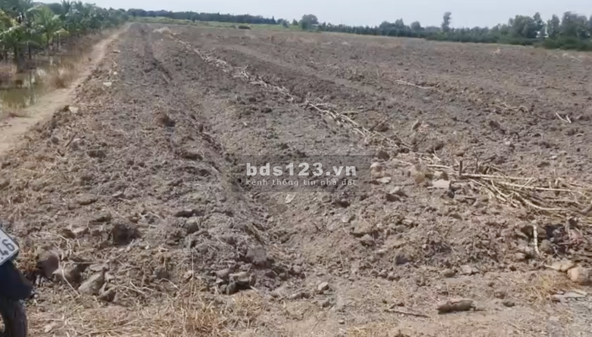 Chính chủ bán Đất Trồng Cây 1000m2 mặt tiền 12m gần DT818…