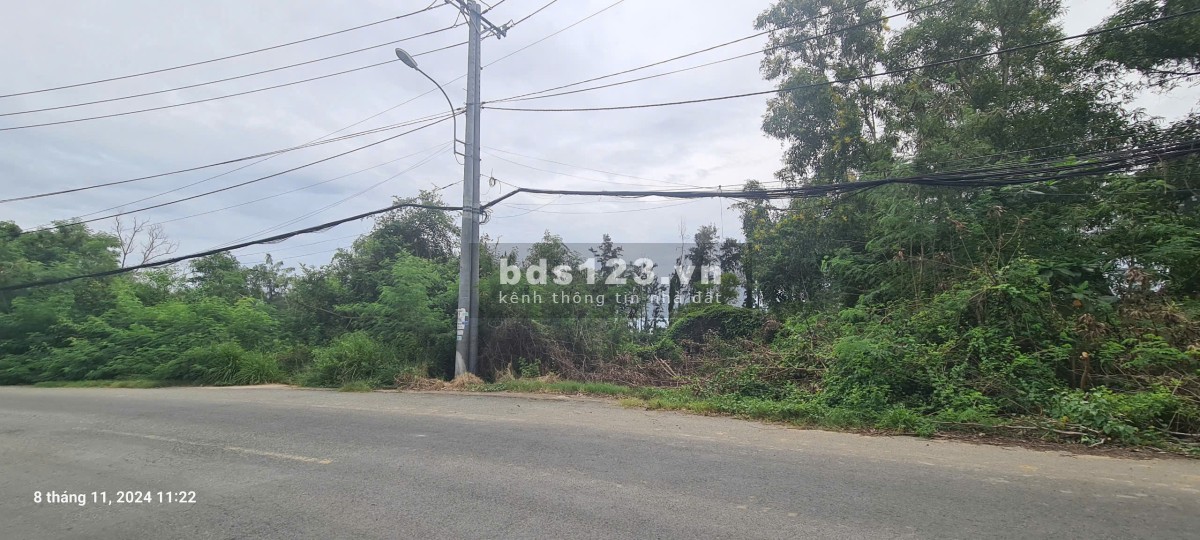 1835m2 + 2630.5m2, Đường Duyên Hải, Xã Long Hòa, Huyện Cần…