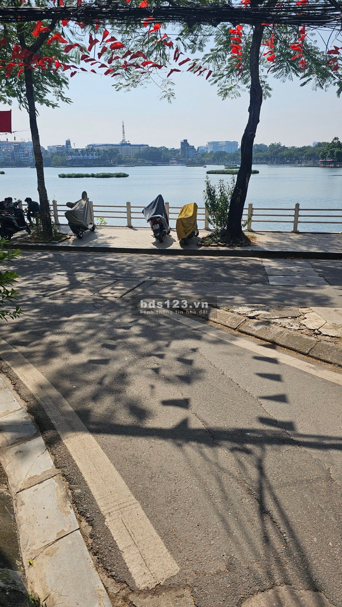 BIỆT ĐỘI ĐỪNG BỎ LỠ: TRÚC BẠCH LÔ GÓC – VIEW HỒ –…