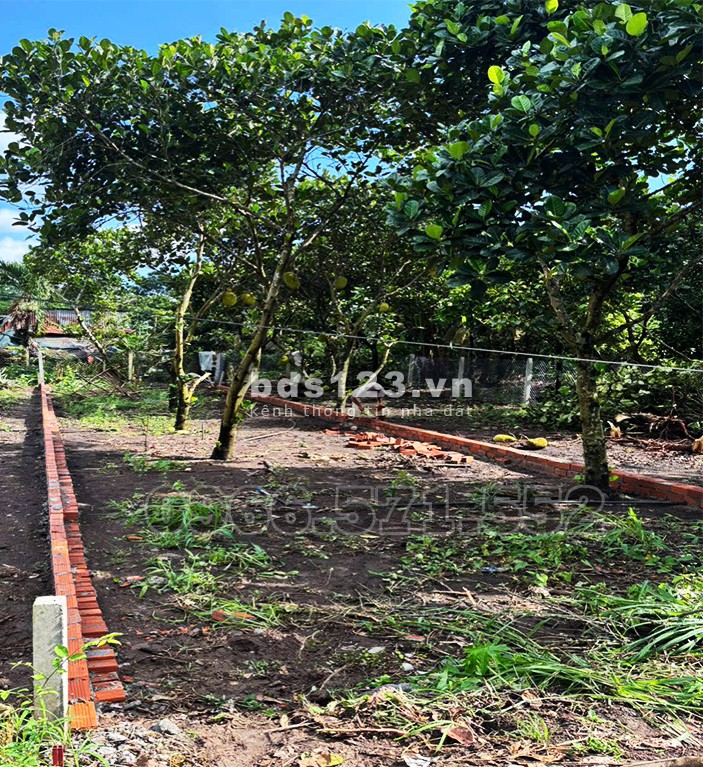 Lô Đất Thổ Cư Siêu Rẻ Ngay Chợ Hàm Nghi – P. Bảo Vinh –…