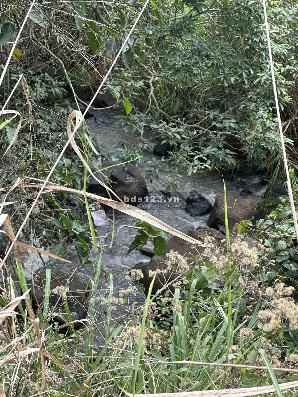 7x40 126 thổ cư mt nhựa view hồ giá 840tr sổ riêng xã Tân Châu