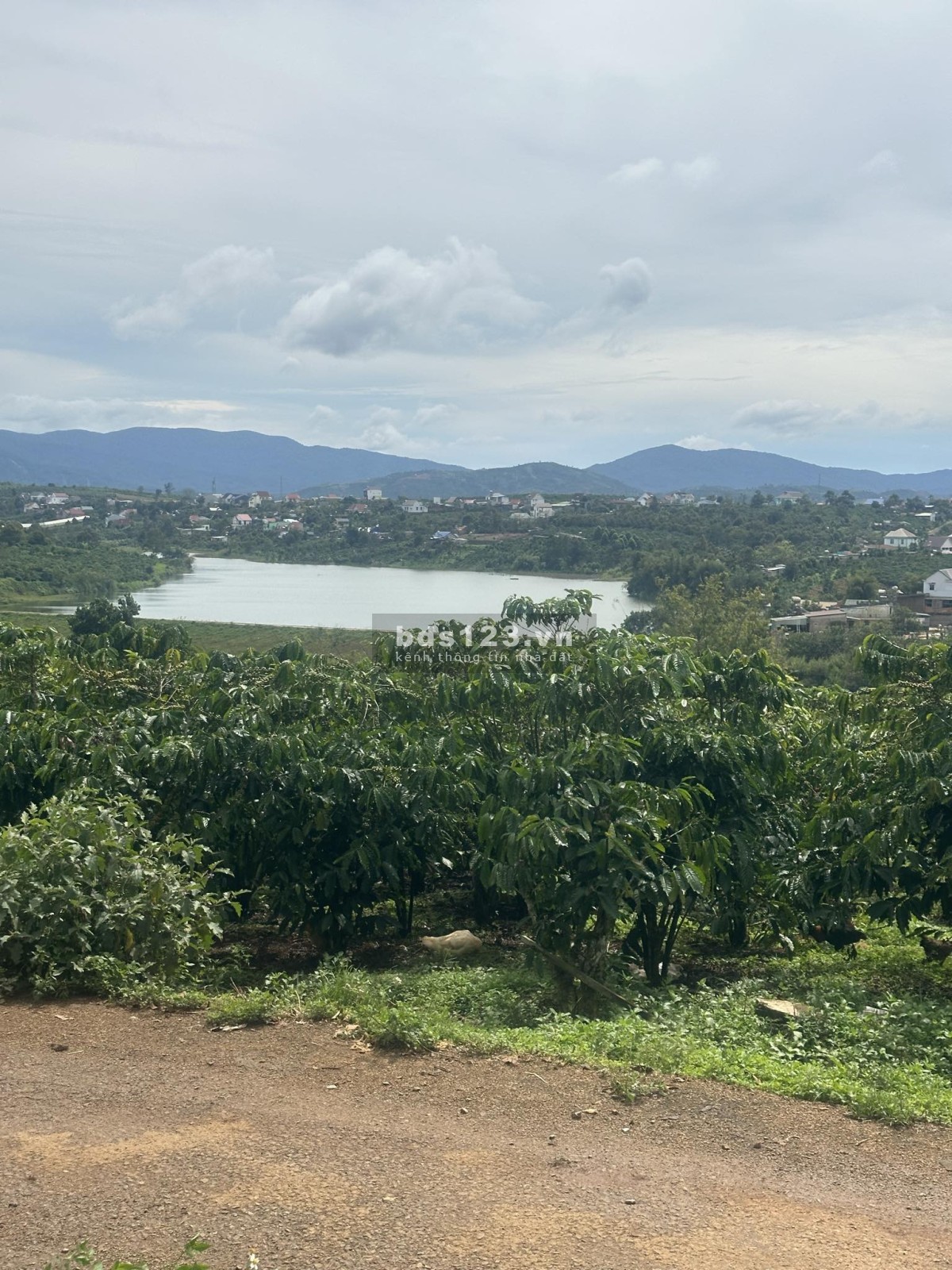 7x40 126 thổ cư mt nhựa view hồ giá 840tr sổ riêng xã Tân Châu