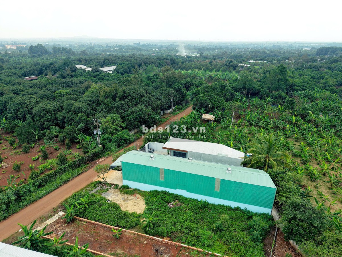 Bán Đất Mặt Tiền Nguyễn Thế Toàn – Giá Tốt, Sổ Riêng