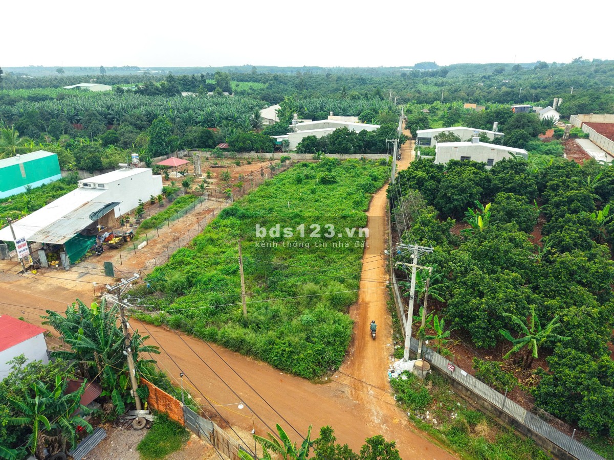 Bán Đất Mặt Tiền Nguyễn Thế Toàn – Giá Tốt, Sổ Riêng