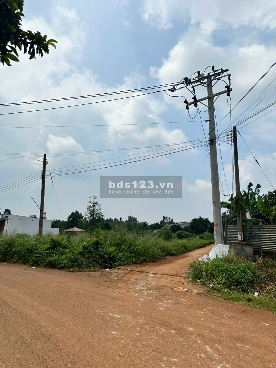 Bán Đất Mặt Tiền Nguyễn Thế Toàn – Giá Tốt, Sổ Riêng