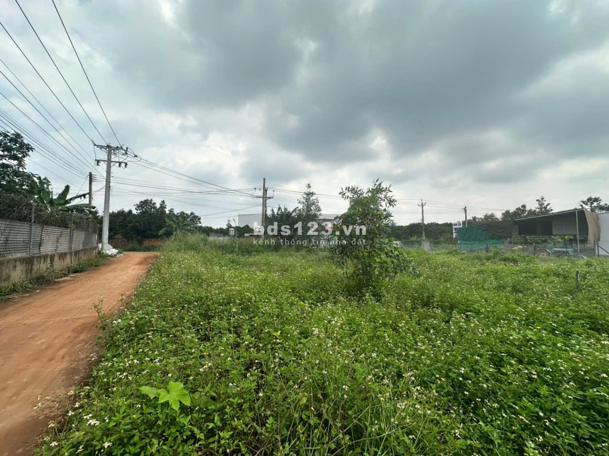 Bán Đất Mặt Tiền Nguyễn Thế Toàn – Giá Tốt, Sổ Riêng