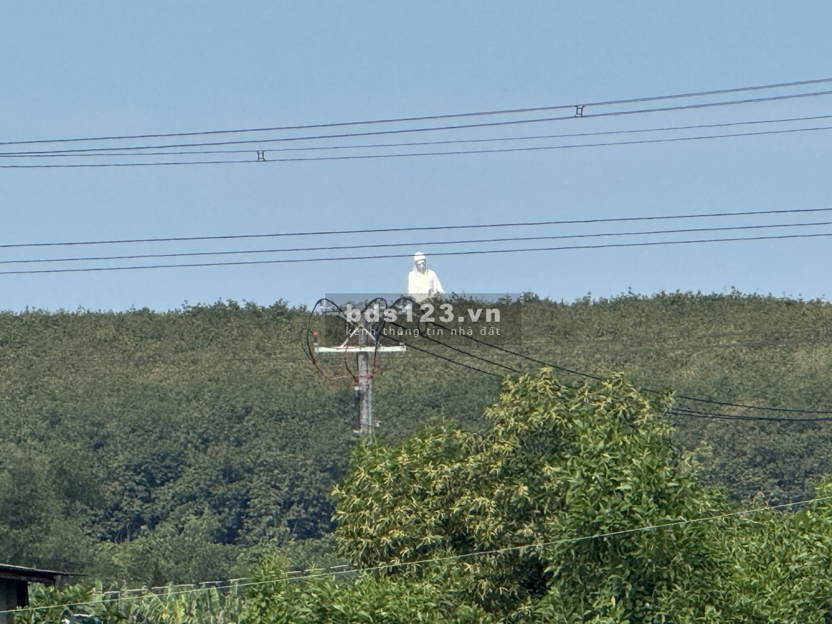  Đất thổ cư 562m² Gia Tân 2 – Giá chỉ 1 tỷ 450! 