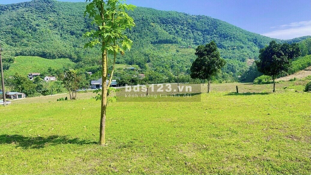 19.000M² – TÂN THÀNH, LƯƠNG SƠN, HÒA BÌNH