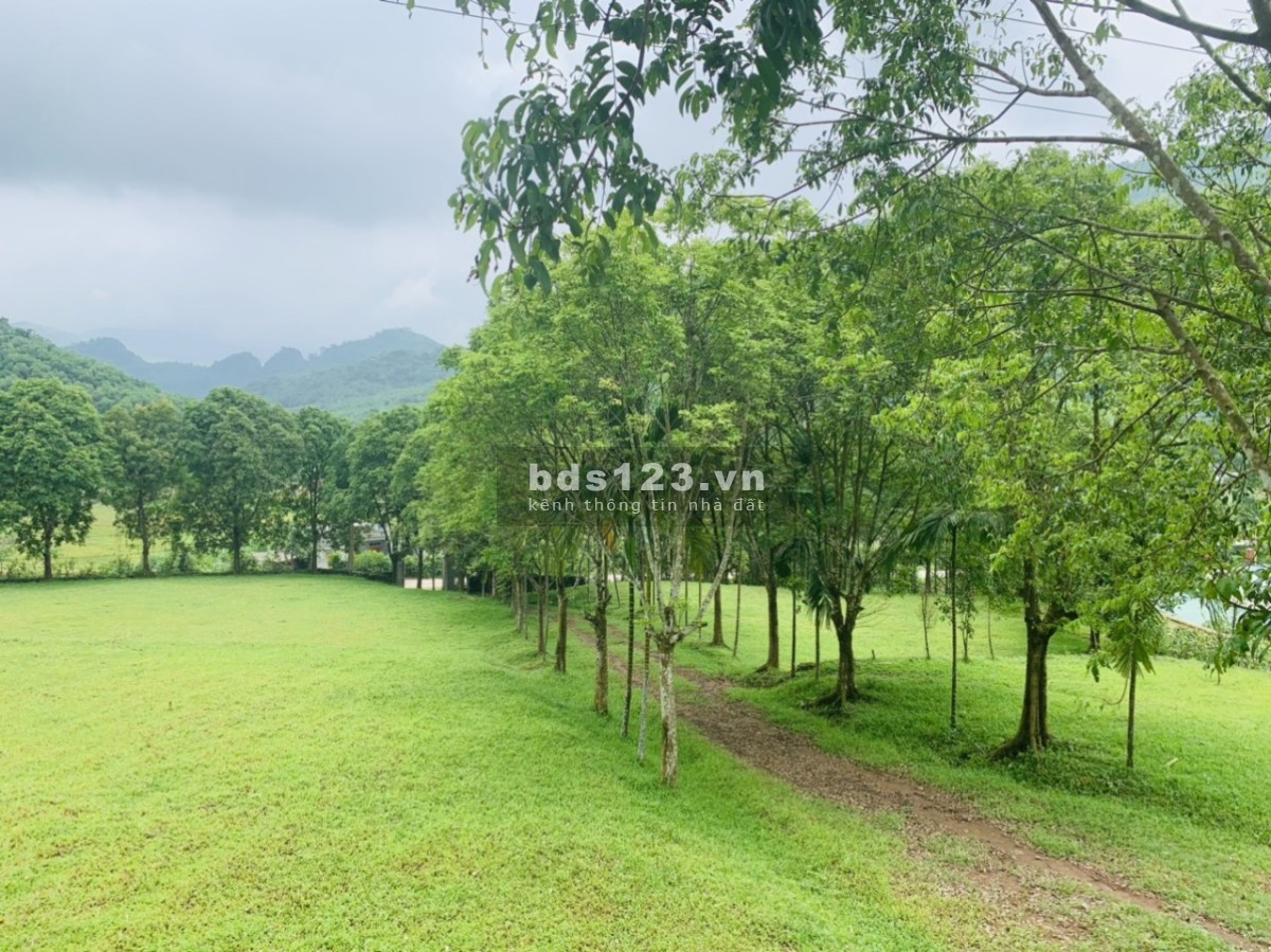 19.000M² – TÂN THÀNH, LƯƠNG SƠN, HÒA BÌNH