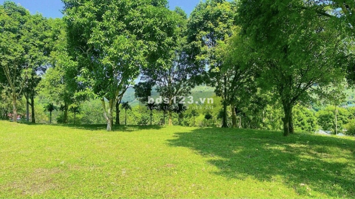 19.000M² – TÂN THÀNH, LƯƠNG SƠN, HÒA BÌNH