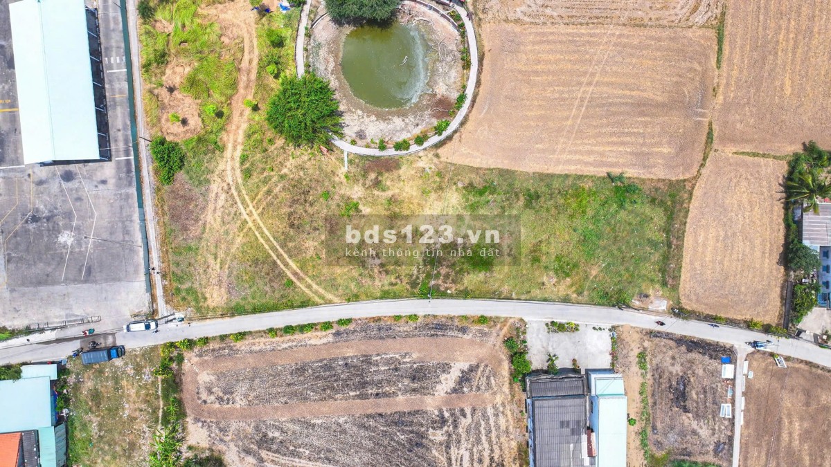 Bán đất Bến Lúc – Nằm ngay QL1A, xã Bến Lức Tây Ninh ( Long…