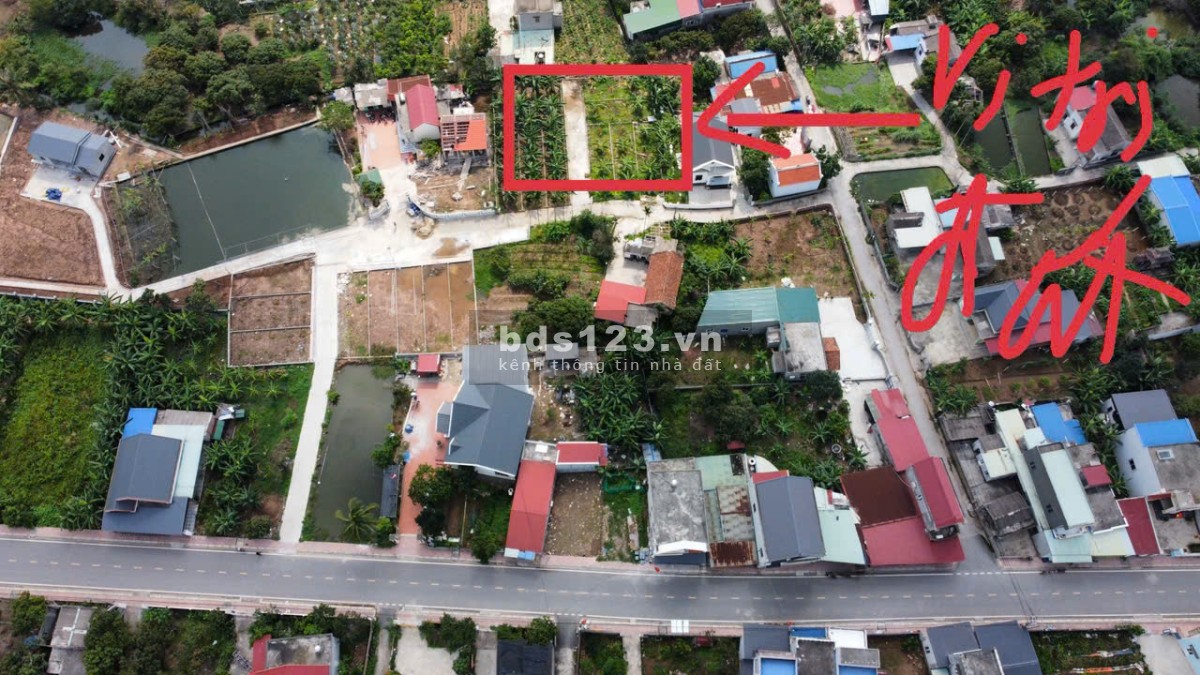 Chỉ 1.45 tỷ sở hữu lô đất tuyệt đẹp VIEW SÔNG tại Bát Trang, An Lão, Hải Phòng