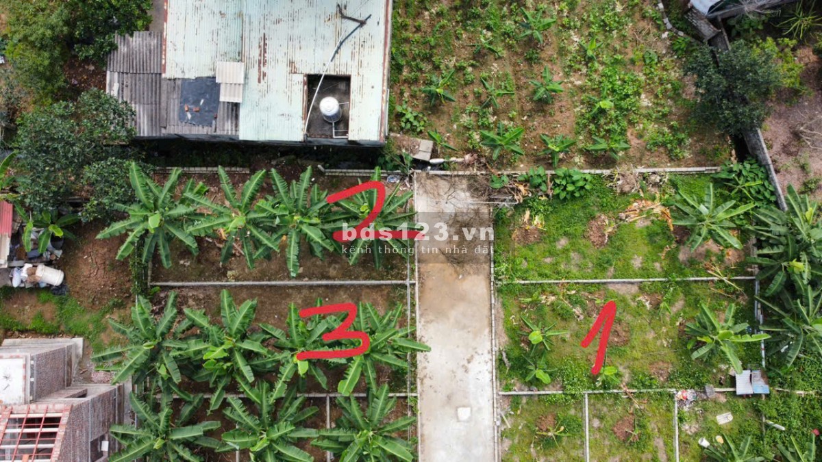 Chỉ 1.45 tỷ sở hữu lô đất tuyệt đẹp VIEW SÔNG tại Bát Trang, An Lão, Hải Phòng