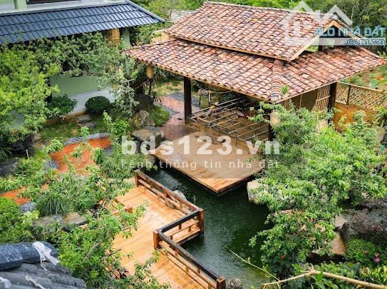 Bán Homestay 1000m2 - Vị trí đẹp Mộc Châu - Khai thác ngay, doanh…
