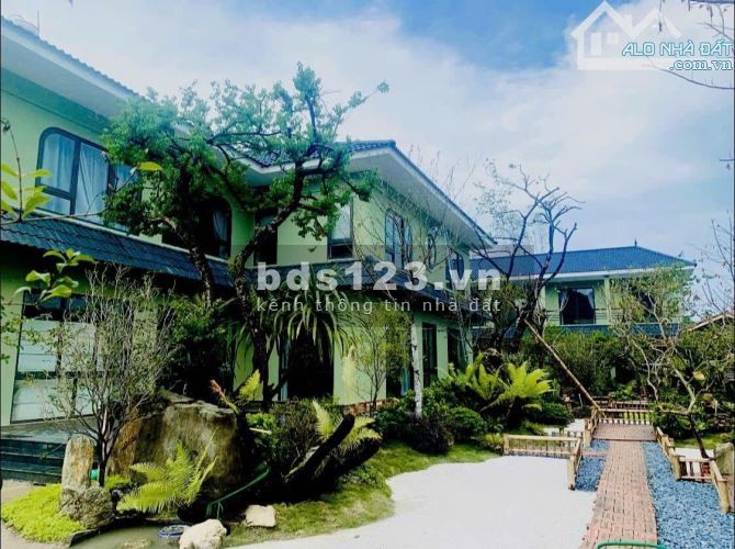 Bán Homestay 1000m2 - Vị trí đẹp Mộc Châu - Khai thác ngay, doanh…