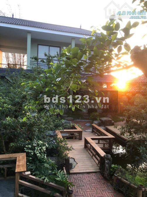 Bán Homestay 1000m2 - Vị trí đẹp Mộc Châu - Khai thác ngay, doanh…