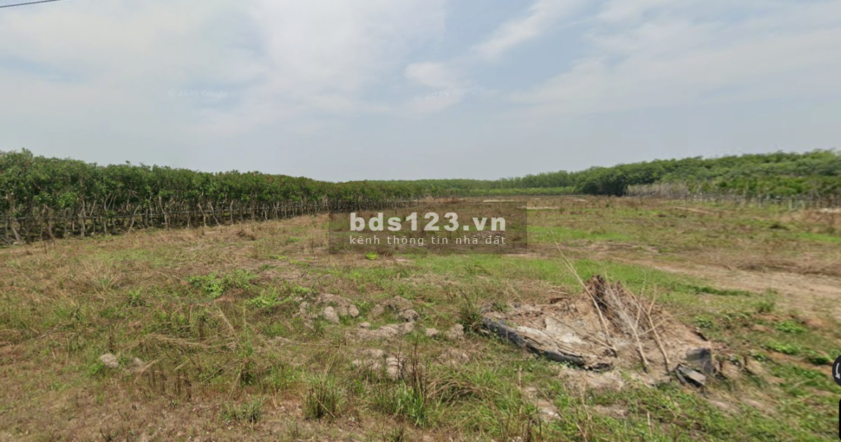 Bán đất DH519, 250m2, Phước Sang, Phú Giáo, Bình Dương