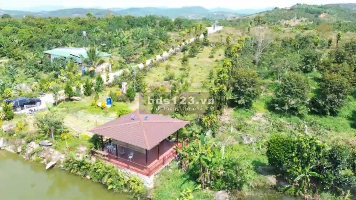 Lộc nam còn lô cuối cần ra gấp, giá yêu thương.