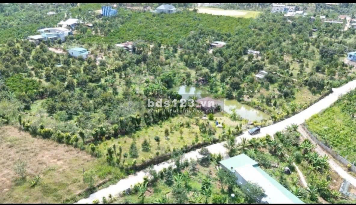 Lộc nam còn lô cuối cần ra gấp, giá yêu thương.