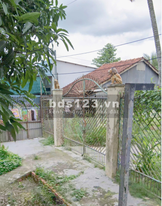 Bán đất thổ cư 100%, ấp Bình Khánh 4 phường Bình Đức,…