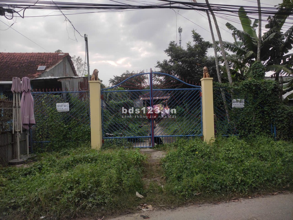 Bán đất thổ cư 100%, ấp Bình Khánh 4 phường Bình Đức,…