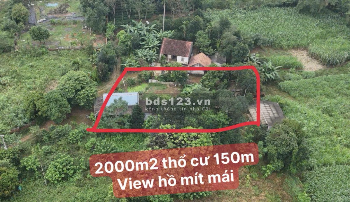  **Bán Lô Đất 2000m² View Hồ Tuyệt Đẹp Tại Yên Bài – Ba Vì