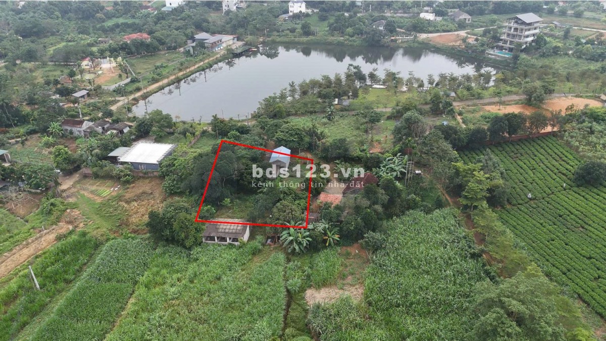  **Bán Lô Đất 2000m² View Hồ Tuyệt Đẹp Tại Yên Bài – Ba Vì