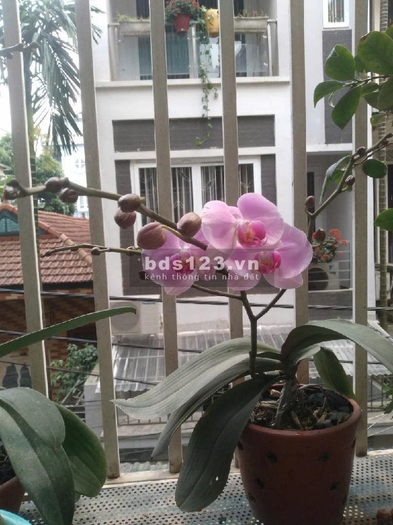 Bán nhà – 66,2m² x 4 Tầng, ba gác tránh xe máy – 3 bước ra ô…