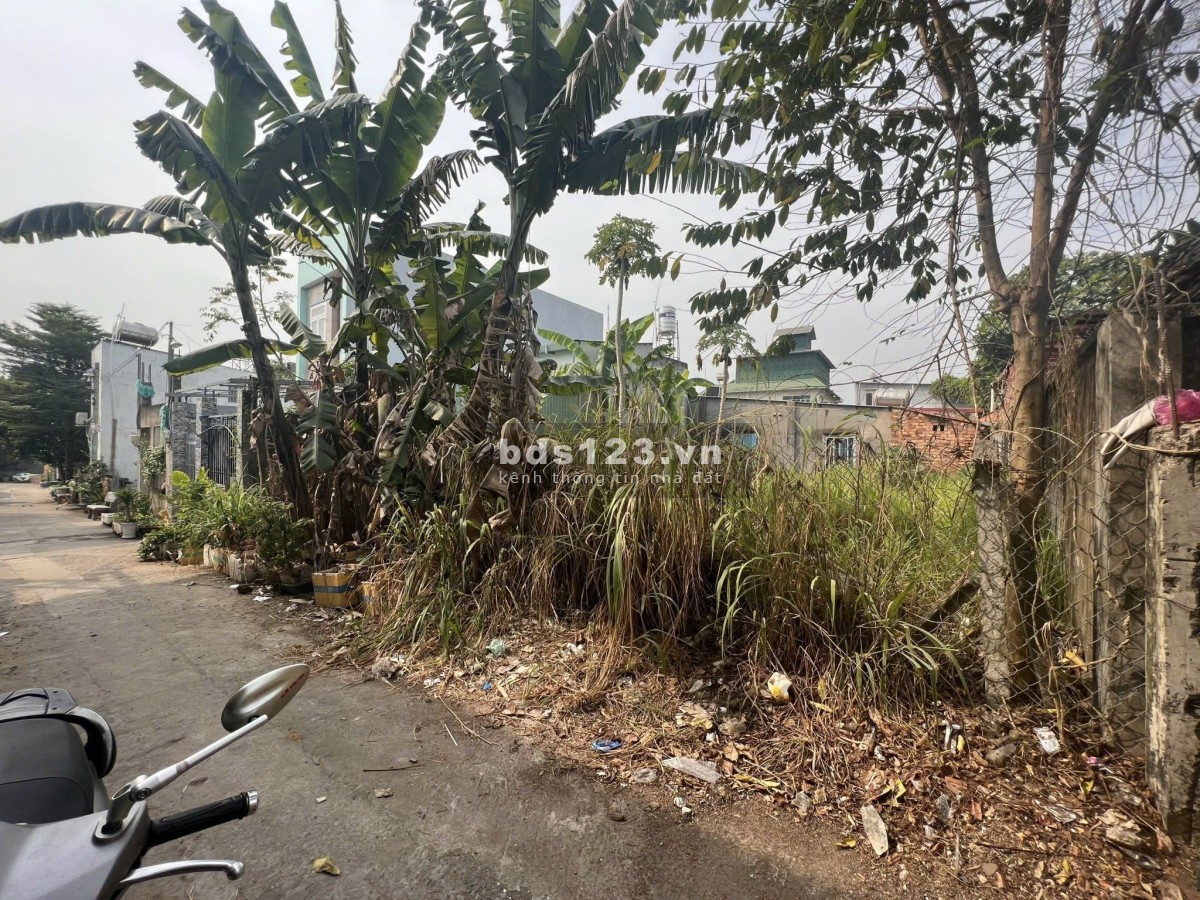 Bán đất 81m2, HXH, Nguyễn Xiển, Quận 9, gần Vinhomes giá…