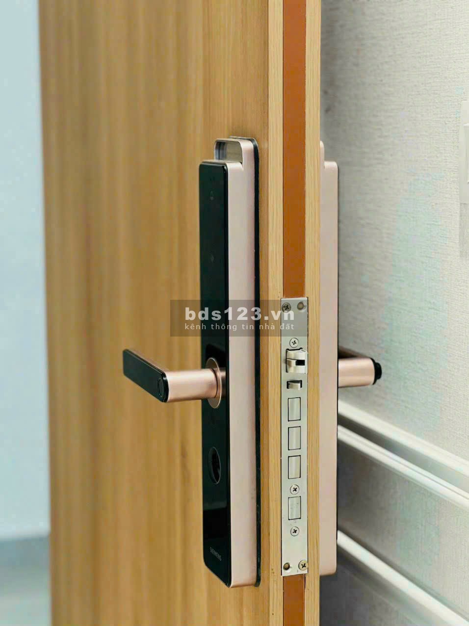 Chủ đi nước ngoài cần bán gấp căn hộ full nội thất, chỉ…