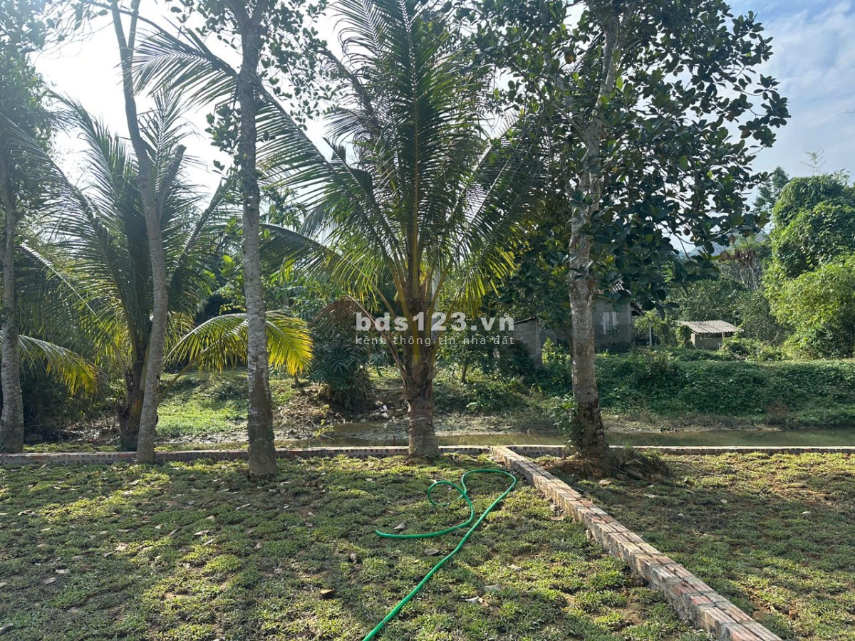 Hơn 300tr Sở Hữu Đất Kim Bôi, Hoà Bình – Vị Trí Đẹp,…