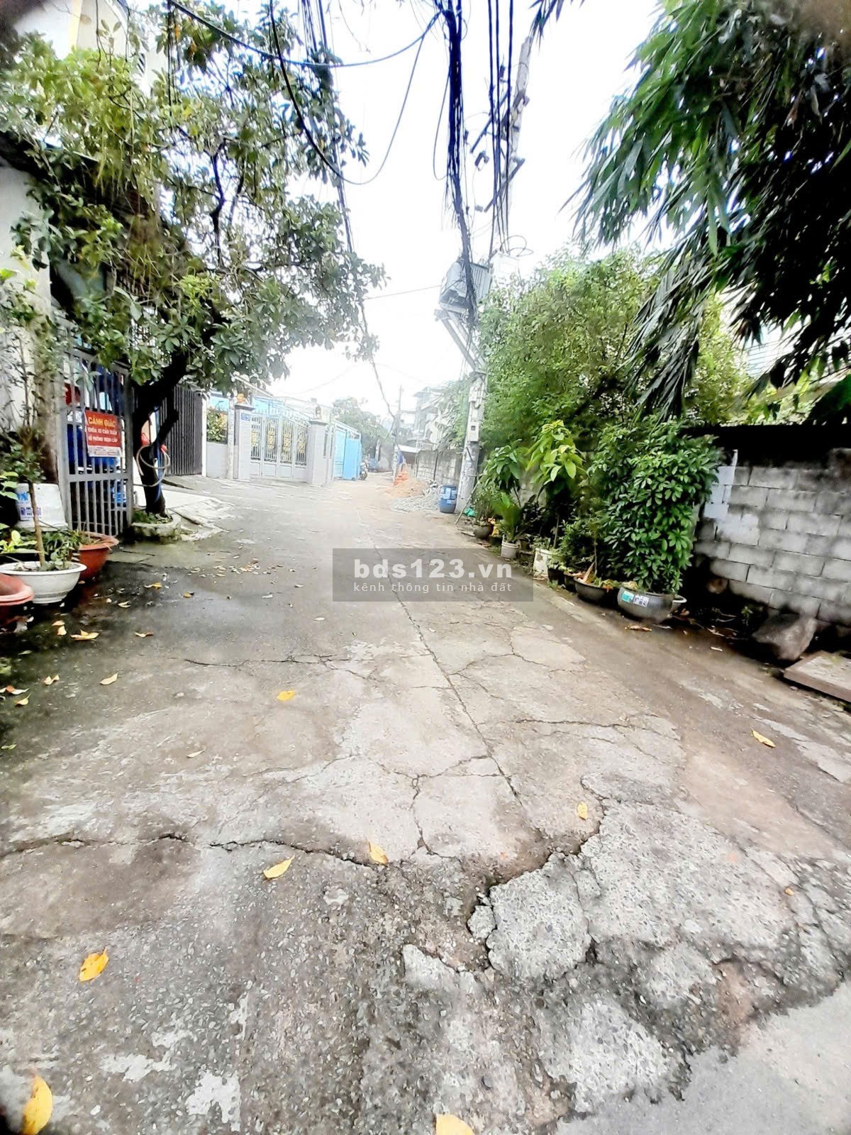  Bán nhà đường 11, Linh Xuân, Thủ Đức – hẻm container – giá 3.8 tỷ️ 48m² (4x12) – trệt lầu