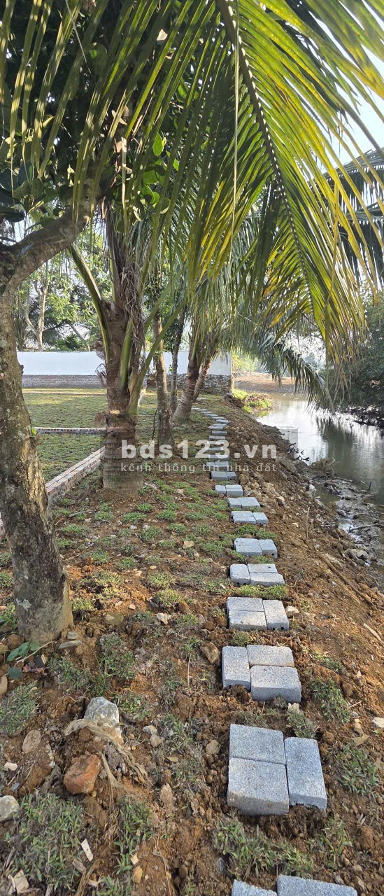 ????????Chỉ hơn 300tr sở hữu ngay đất nền LK Serena khoáng…