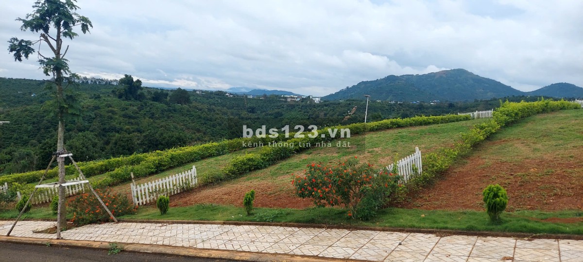 CHÍNH CHỦ KẸT TIỀN CẦN BÁN GẤP LÔ ĐẤT