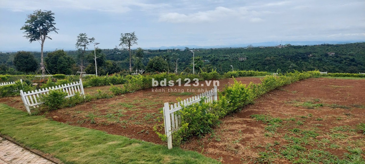 CHÍNH CHỦ KẸT TIỀN CẦN BÁN GẤP LÔ ĐẤT