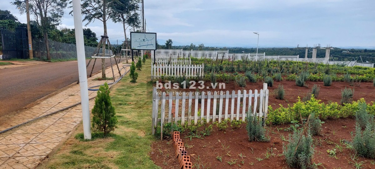 CHÍNH CHỦ KẸT TIỀN CẦN BÁN GẤP LÔ ĐẤT