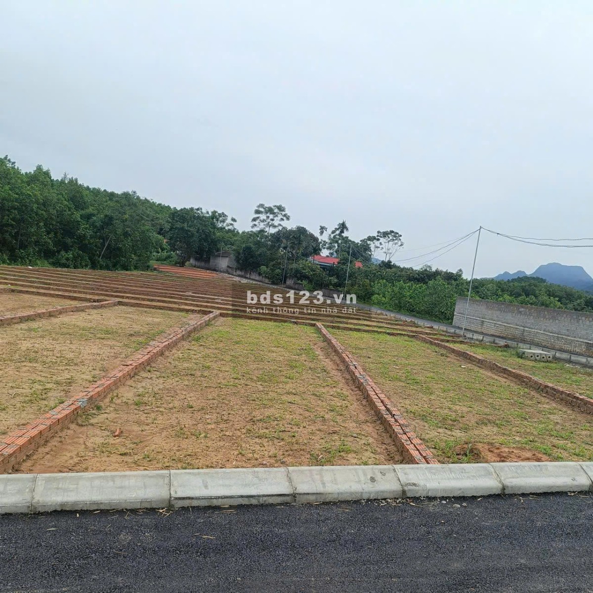  MỞ BÁN GIÁ SỐC – ĐẤT TRUNG TÂM AN BÌNH CHỈ 195 TRIỆU/LÔ