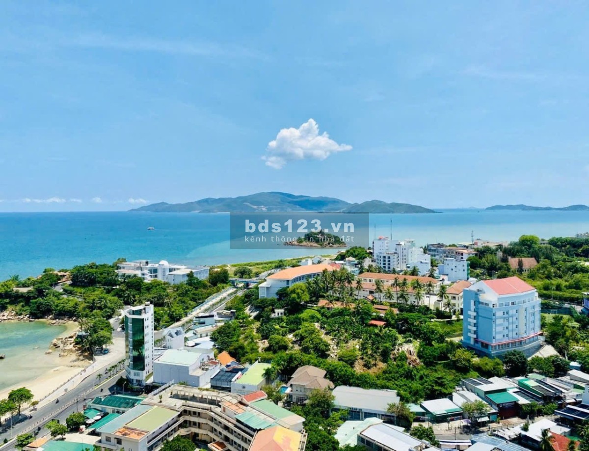 CHẠM TAY VÀO BIỂN CẢ – SỞ HỮU 