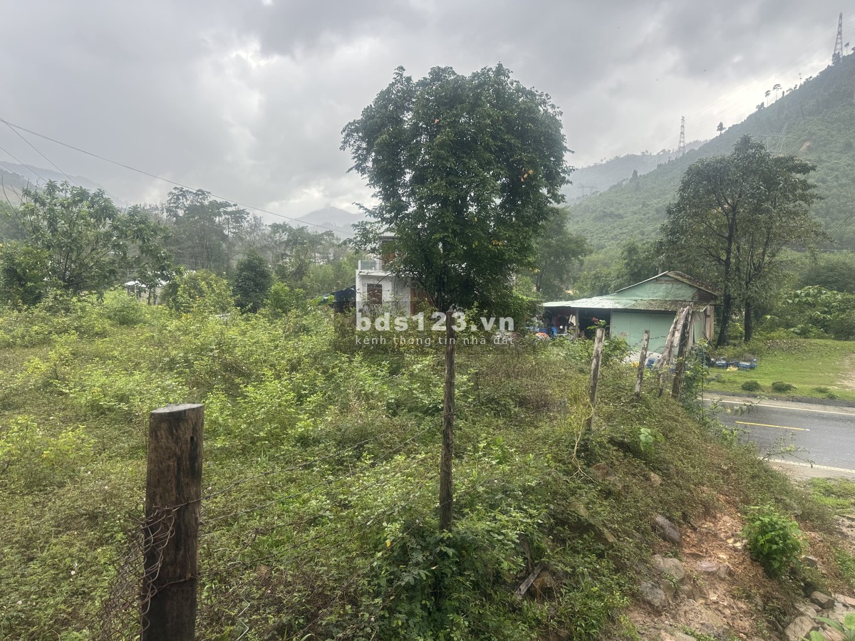 232 mét đất mặt tiền Quốc lộ 14B - Nam Giang - Đà Nẵng